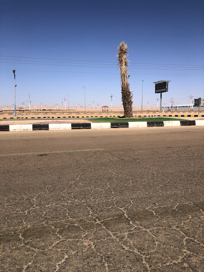 حديقة الملك سلمان - Saudi Arabia|Al Qasab|25.3027797