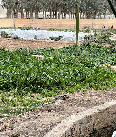 Ennessi Farm - Riyadh - +966 50 546 3909