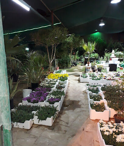 مشتل شاتل للخدمات الزراعيه المتطوره - Buraydah - +966 56 883 8333