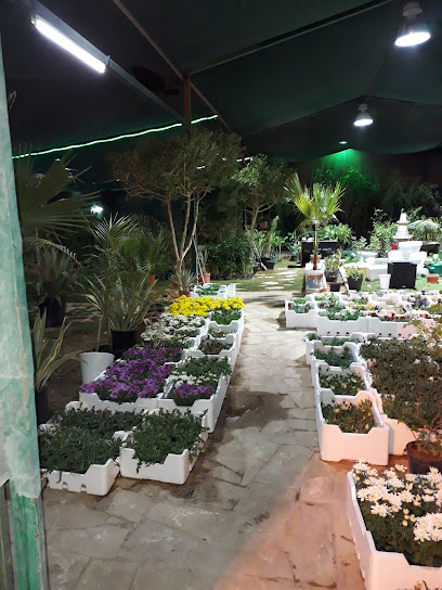 مشتل شاتل للخدمات الزراعيه المتطوره - Saudi Arabia|Buraydah 52346|Khubal Qabr|8274+JR9