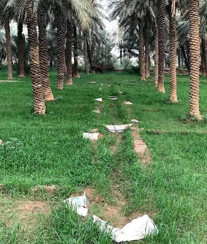 مزرعة عبدالرحمن بن سالم المحسن الشريف - Ad Dilam -