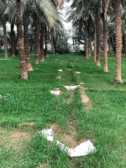 مزرعة عبدالرحمن بن سالم المحسن الشريف - Saudi Arabia|6708، الدلم 16224 3287،