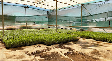 مزرعة الخنيني AlKhunini Farm - الرياض -