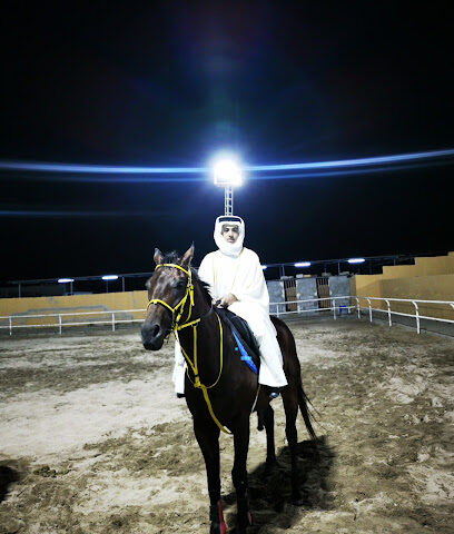 اسطبل فايكنج - Jeddah - +966 53 092 9474