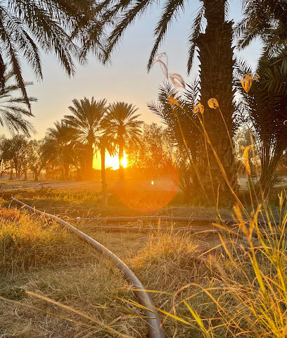 مزرعة الشيخ صوال ضحيان الراجحي - Turbah -