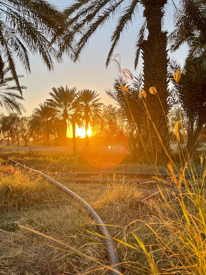 مزرعة الشيخ صوال ضحيان الراجحي - Saudi Arabia|Turbah 29566|7QV3+WW