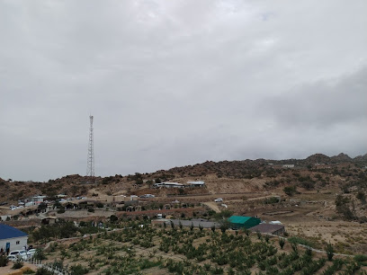 مزرعة عليثة محمد مهاوش الرفاعي - Yanbu -