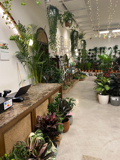نباتاتي - Saudi Arabia|Riyadh 13316|abi bakr as saddiq branch rd ar rabi riyadh 11316