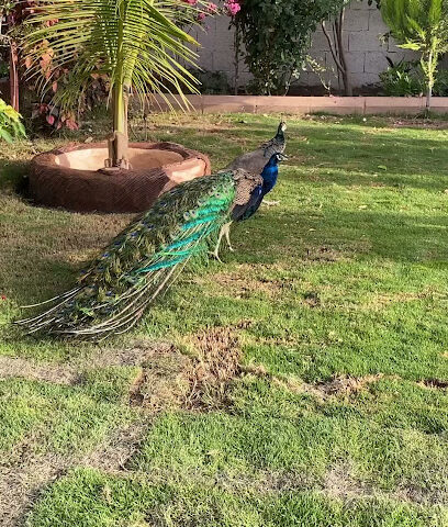 حياة الريف - Najran -