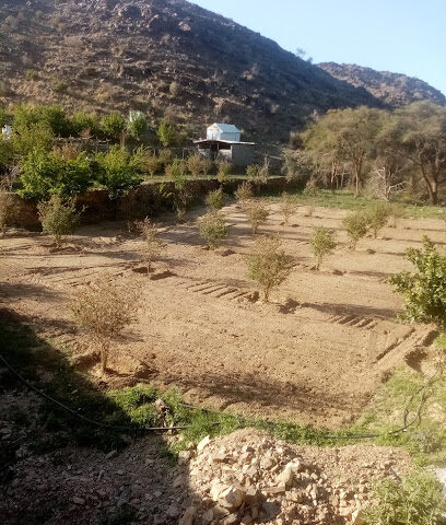 مزرعة ميامين - Al Bahah -