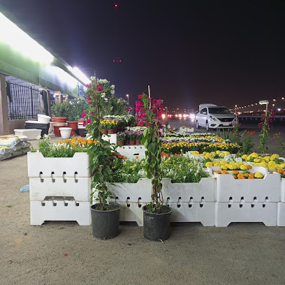 مشتل أوراق الربيع ٢ - Dammam - +966 54 907 8488