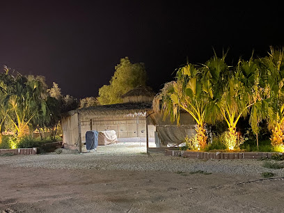مزرعة عبدالعزيز بن ابراهيم آل حسين التميمي ابومالك - Tamriyah -