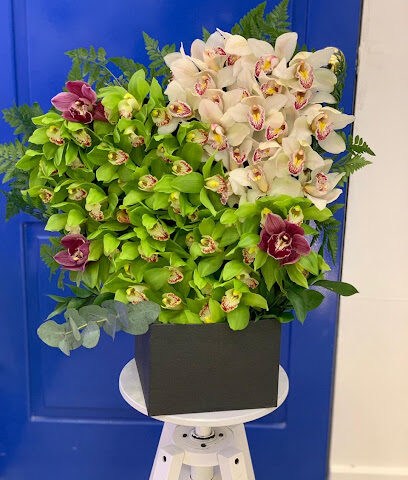 BABY BLUE - Jeddah - +966 55 099 4845