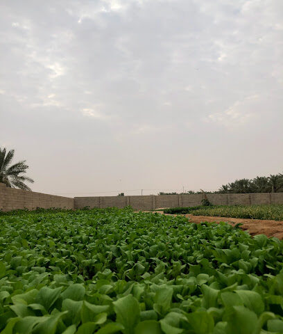 علي محمد العبيد - Al Bukayriyah - +966 55 107 7555
