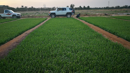 Farm Almsaitir - Buraydah -