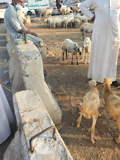 سوق المواشي - Saudi Arabia|Abu Arish 84212|Al Wurud|XV74+XHV
