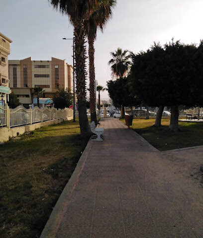 Garden - Taif -