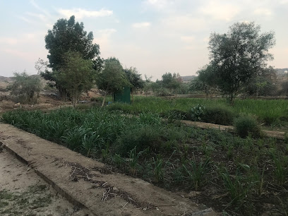 مزرعة جبر القرشي - Jeddah - +966 56 556 7671