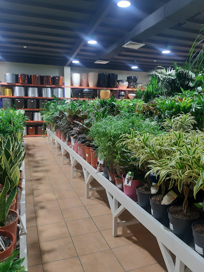 Sultan Gardens Center حدائق السلطان - Saudi Arabia|Jeddah 23325|Al Andalus|تركي بن عبدالعزيز