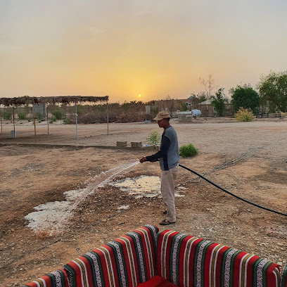 Alsawaji Farm - مزرعة السواجي -  - +966 50 091 9111