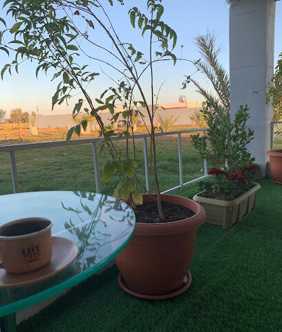 مزرعة الراية - Tabuk -