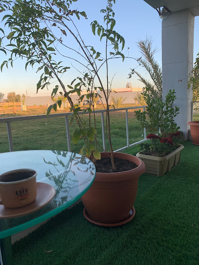 مزرعة الراية - Saudi Arabia|Tabuk 47319|منطقة الزراعية،|FJ65+PQC
