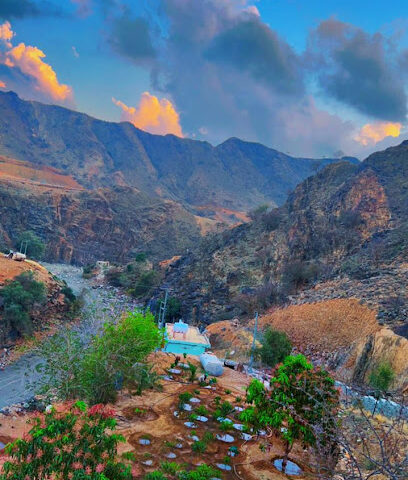 مزرعة الشيخ/ مازن ال غانم - Abha - +966 55 577 1707