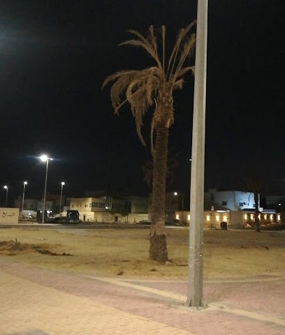حديقة مسجد علي بن ابي طالب - Sakaka -