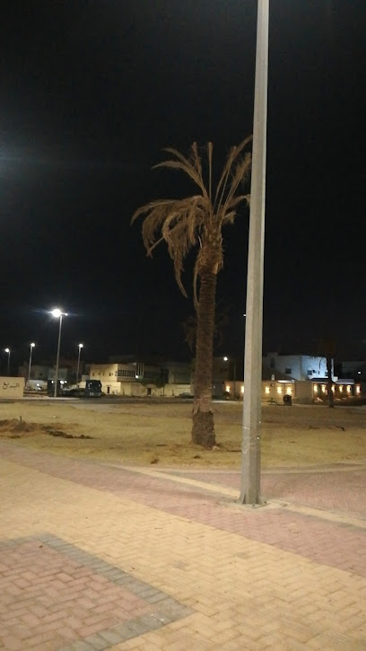 حديقة مسجد علي بن ابي طالب - Saudi Arabia|Sakaka 72345|Almuhammadiyah (A)|W6W4+FJV