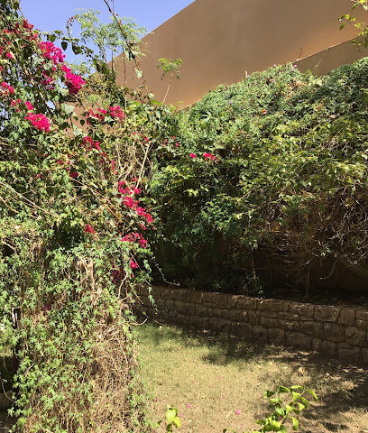 حديقة حنان الفهد - Uyun Al Jawa -