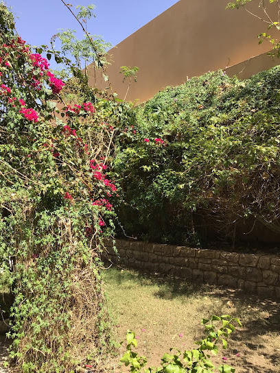 حديقة حنان الفهد - Saudi Arabia|Uyun Al Jawa 52794،|حي التعليم،|QFWA6701، 6701 الشفاء، 3860،