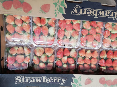 Alareeb Fruits - Jeddah - +966 56 689 7691