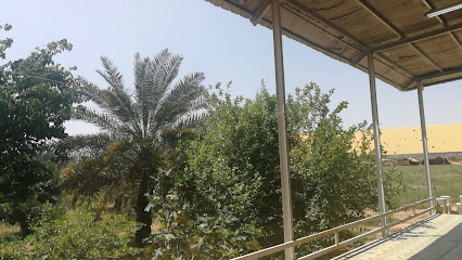 مزرعة الرسيني البسيطا - Buraydah -