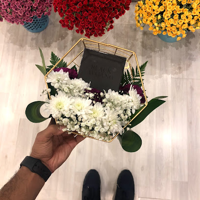 RONZA - Buraydah - +966 59 379 9991