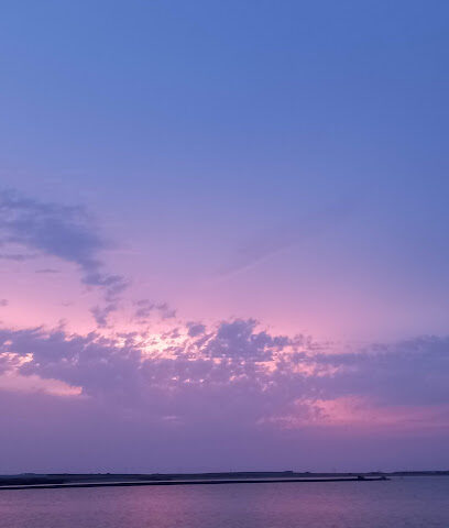 مزرعه عثمان بوكر - Farasan Island - +966 55 555 5575