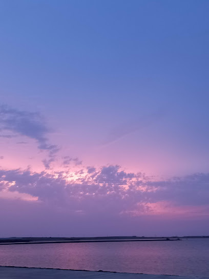 مزرعه عثمان بوكر - Saudi Arabia|Farasan Island 88419|فرسان‎،|P385+RVG