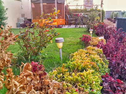 بستان الفايزية (عبدالله الرويشد - Sakaka - +966 50 539 0997