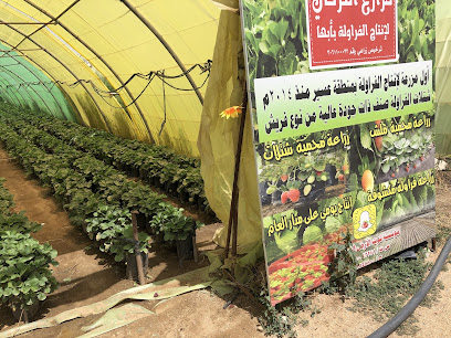 AlTurki Farm for strawberry - Abha - +966 55 254 8800