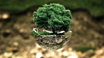 Environmental Consulting إستشارات بيئية - Dammam - +966 56 482 2560