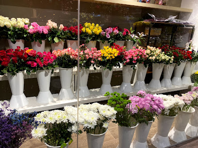 أزهار نقي - Dammam - +966 54 270 8845