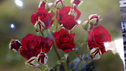 SALEH FLOWERS EST - Hafar Al Batin - +966 55 524 5096