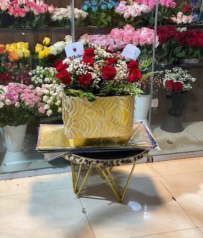 Dahsha - Riyadh - +966 53 332 2112