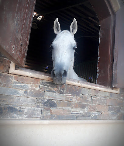 Al Eid Equestrian Club - Riyadh - +966 55 342 3533