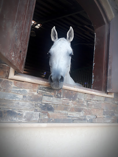 Al Eid Equestrian Club - Saudi Arabia|Riyadh 13635|3225