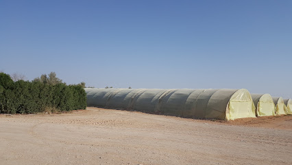 الياسين الزراعية محطة التجارب - Ad Dilam - +966 50 492 1767