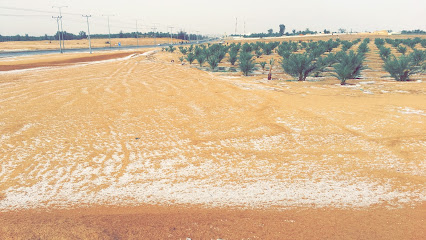 مزرعة عبدالله السديس | Abdullah Alsudais's Farm - Al Bukayriyah - +966 54 099 0915