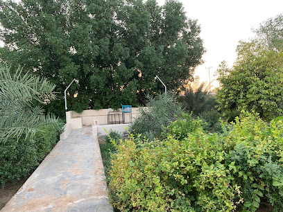 مزرعة صالح ابو بكر القايدي (المروة) - Yanbu Al Nakhal -