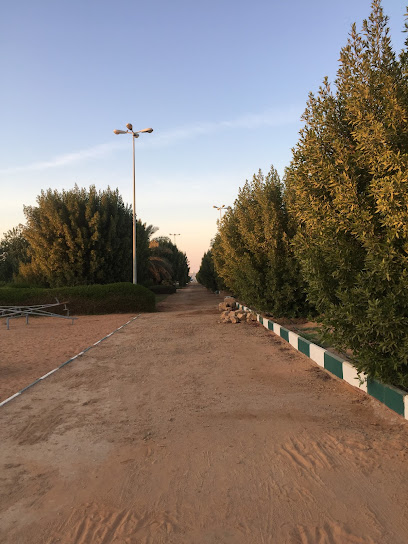 حديقة ثرمداء - Saudi Arabia|Tharmda 15596|4F9Q+CJM