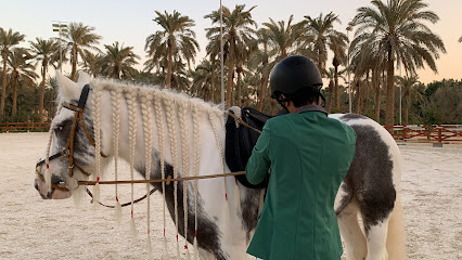 Saudi Equestrian Federation - Riyadh - +966 11 482 3643