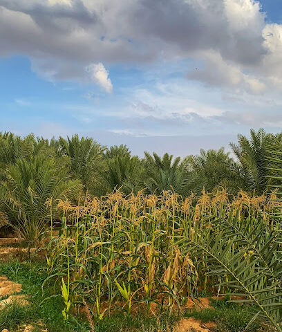 مزرعة العايذية - Ad Dilam -